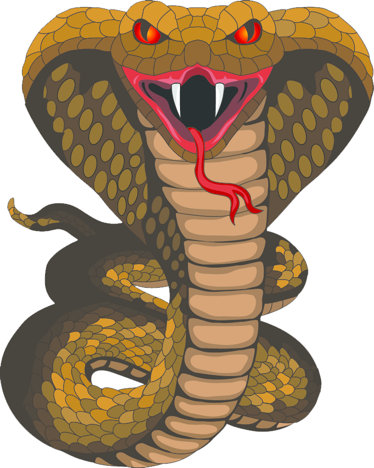 Cobra Transparent PNG Image