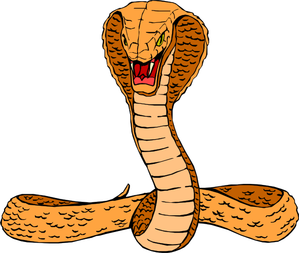 Cobra Transparent PNG Image