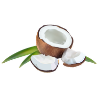 Coconut Transparent