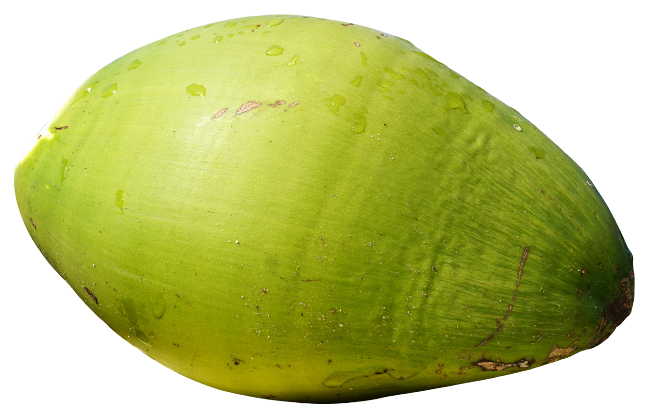 Fresh Coconut Green Free Download Image PNG Image