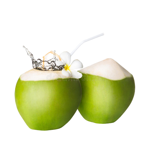 Fresh Coconut Green Free HQ Image PNG Image
