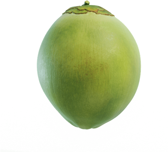 Green Coconut Organic Free Transparent Image HD Transparent PNG Image