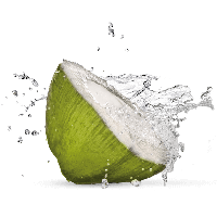 Green Coconut Organic Free Photo PNG Image