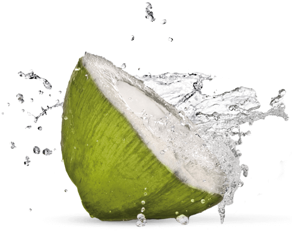 Green Coconut Organic Free Photo PNG Image