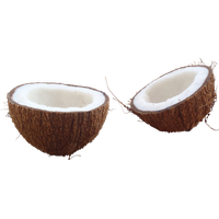 Coconut Image PNG Image