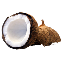 Download Coconut Free PNG photo images and clipart ...