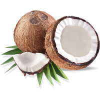 Coconut Picture