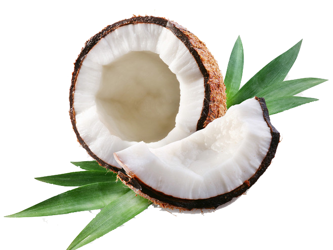 And Cuisine Coconut Oil Greenery Jesus Thai PNG Image