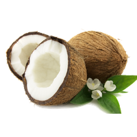 Coconut Png PNG Image