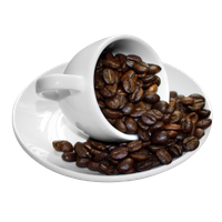 download coffee tree free png photo images and clipart freepngimg download coffee tree free png photo