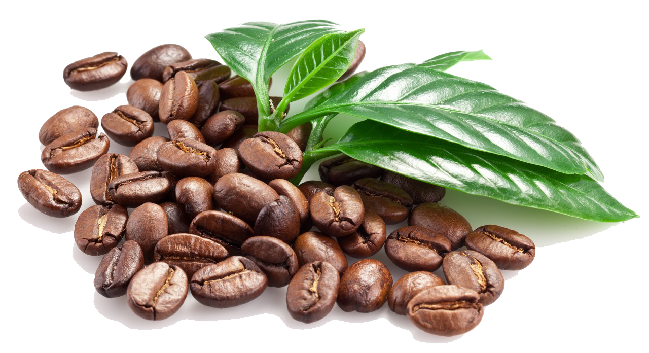 Coffee Beans Image PNG Image