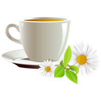And Coffee Cup Of Tea Cafe Daisies