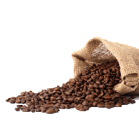 Download Coffee Beans Free Png Image Hq Png Image Freepngimg