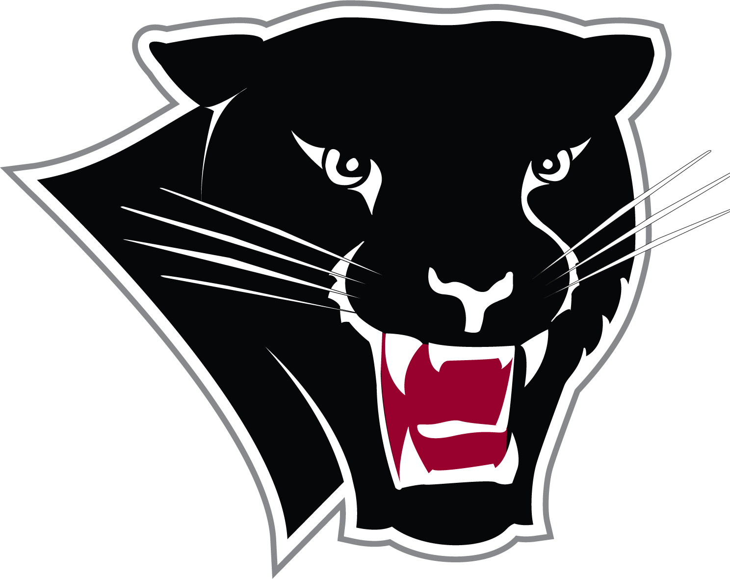 Basketball Panther Institute Of Football Florida Women'S PNG Image