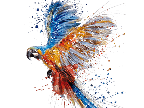Watercolor Photos Art Bird PNG Download Free PNG Image