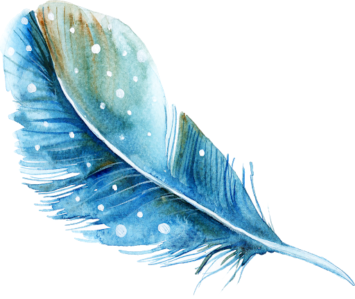 Watercolor Feather PNG Image High Quality PNG Image