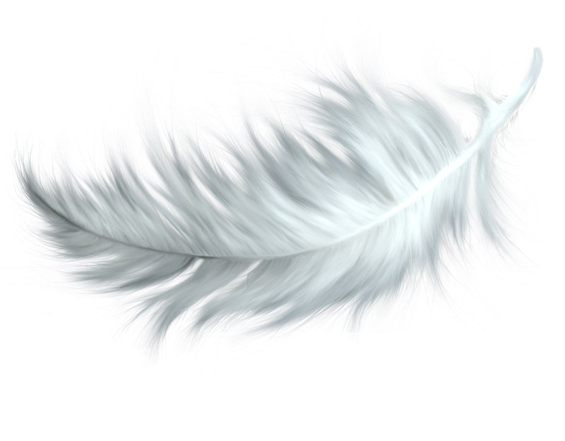 Watercolor Feather PNG File HD PNG Image