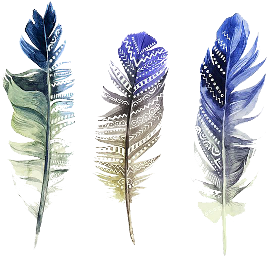 Watercolor Feather PNG Download Free PNG Image
