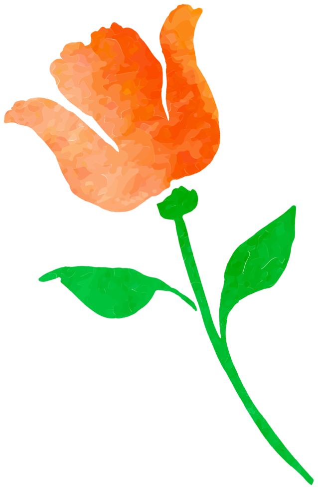 Watercolor Flower Free HQ Image PNG Image