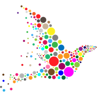 Colorful Transparent Background Transparent HQ PNG Download | FreePNGImg