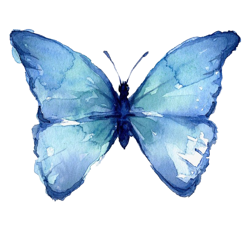 Butterfly Watercolor Art Photos Free Download PNG HD PNG Image