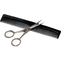 Comb PNG