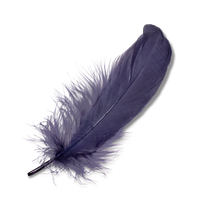 Portable Icons Computer Graphics Feather Network PNG