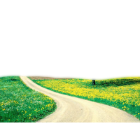 Spring Picture Wallpaper Beauty Nature Download HD PNG Transparent PNG Image