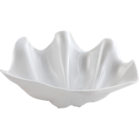 Conch Transparent PNG Image