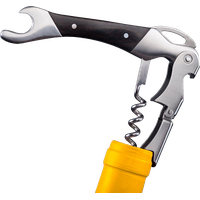 Corkscrew PNG