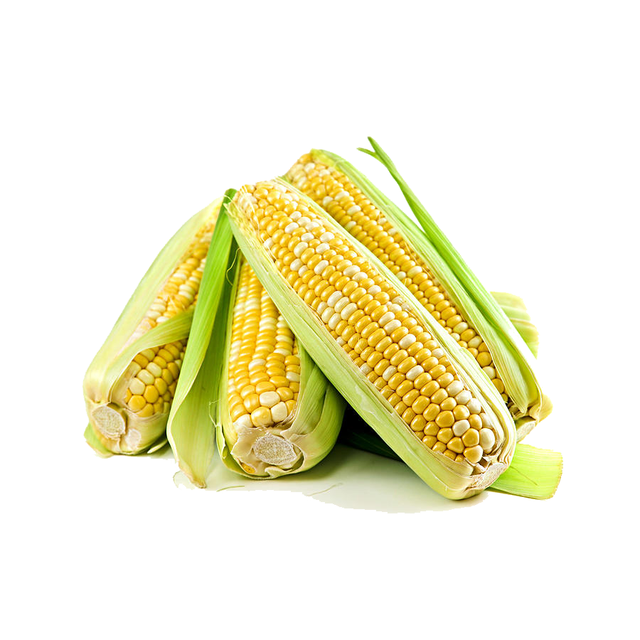 Corn Free Png Image PNG Image