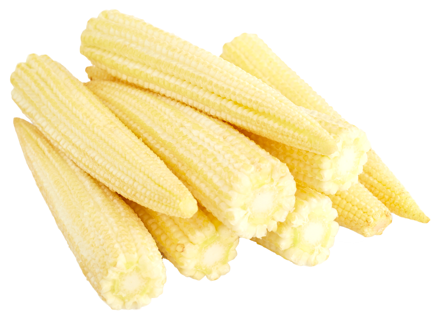 Baby Corn Dried Cobs Free PNG HQ PNG Image