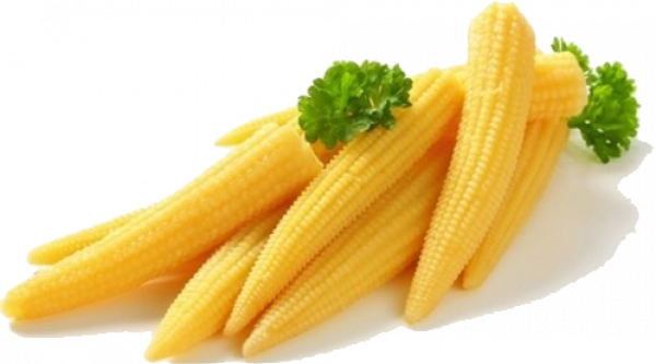 Baby Fresh Corn Cobs Free Download PNG HD Transparent PNG Image