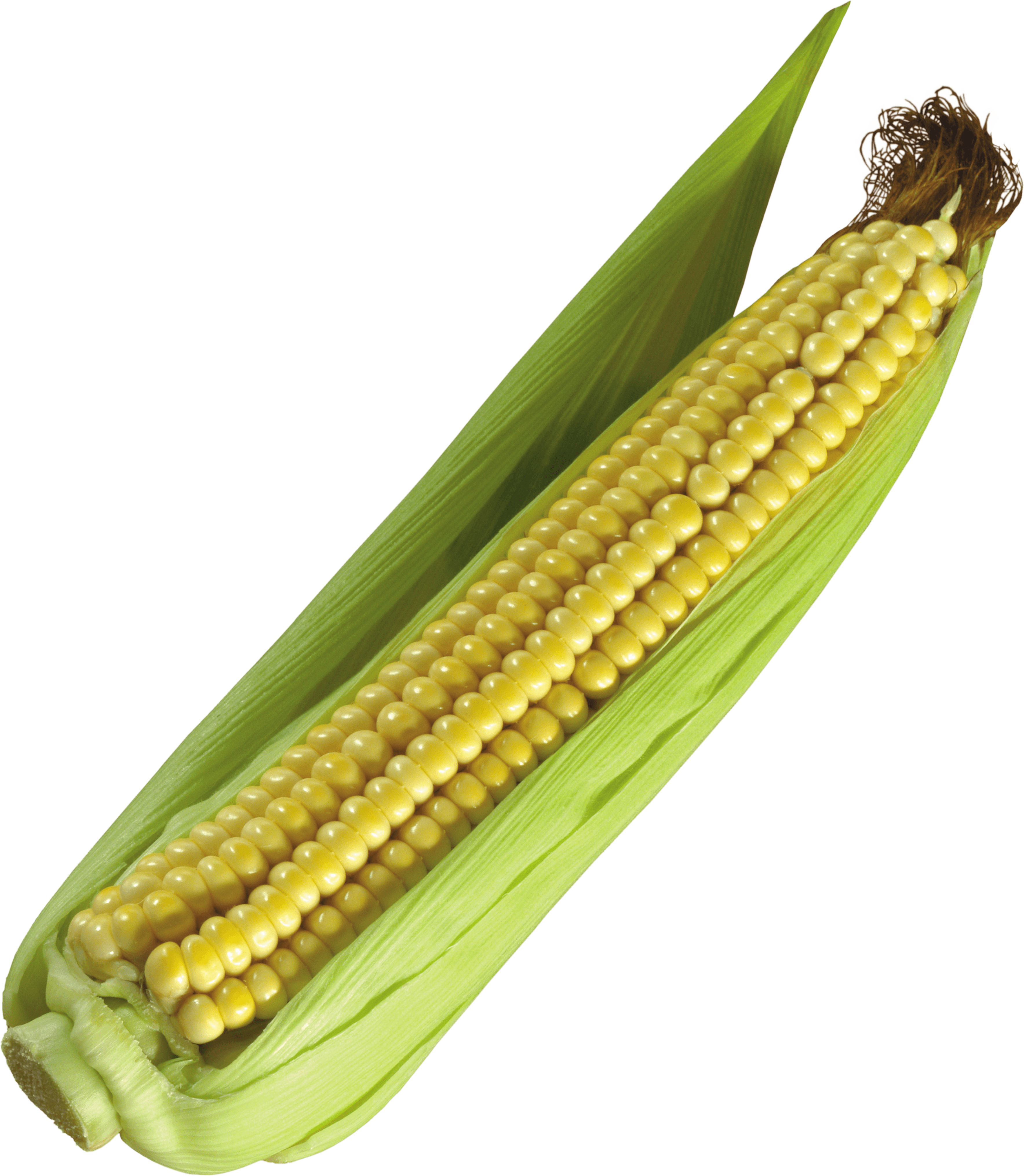 Corn Png Image Transparent PNG Image