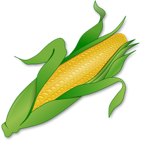 Corn PNG