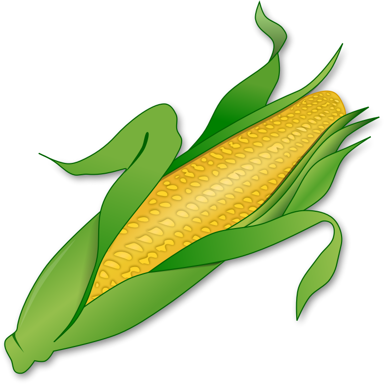 Corn PNG Image