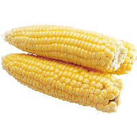 Corn Png Image PNG