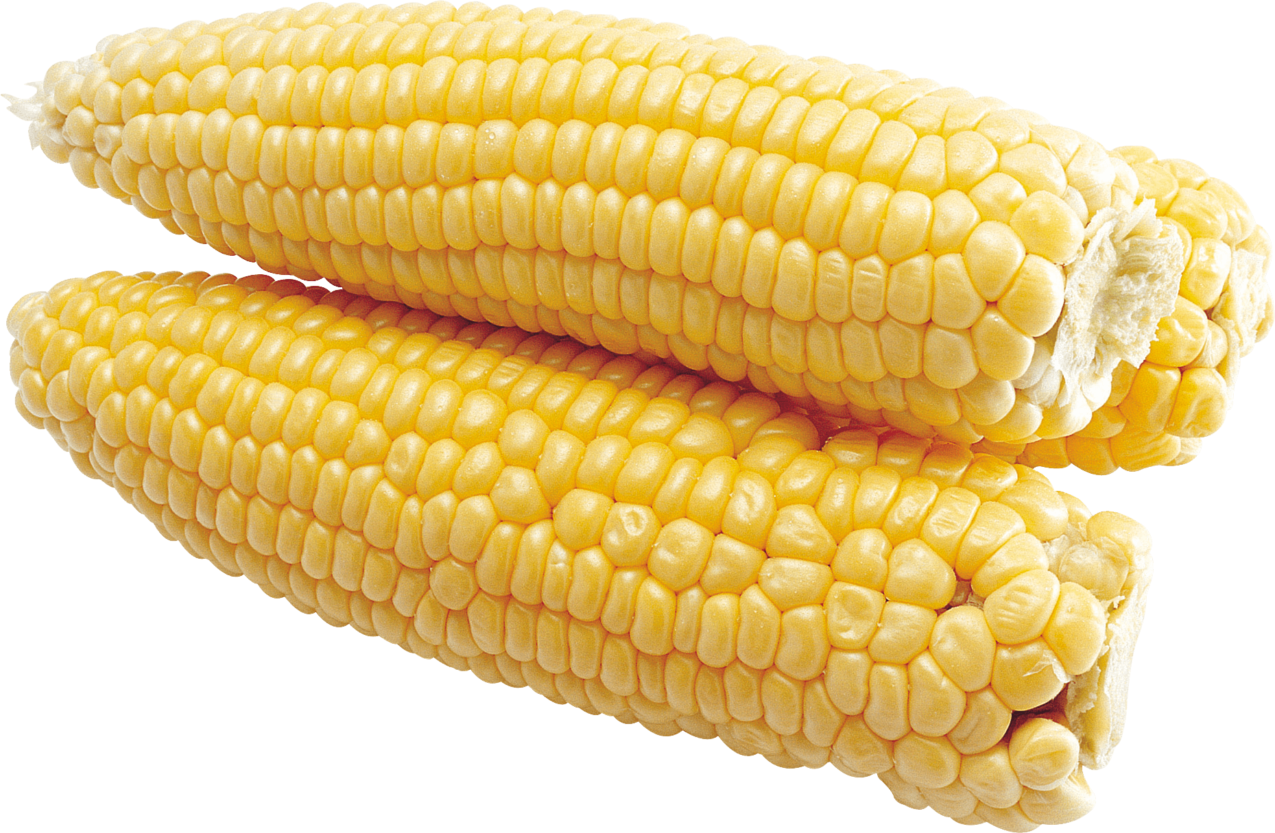 Corn Png Image PNG Image