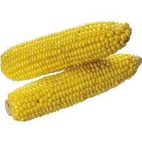 Corn Png Image PNG