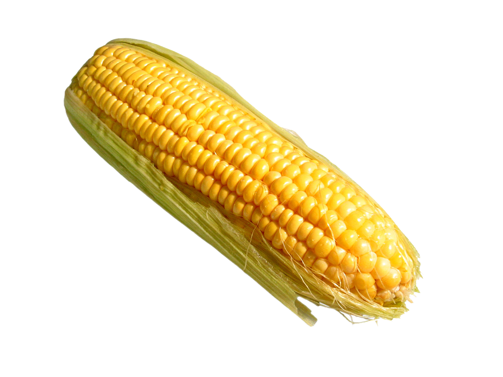 Corn Png Pic PNG Image