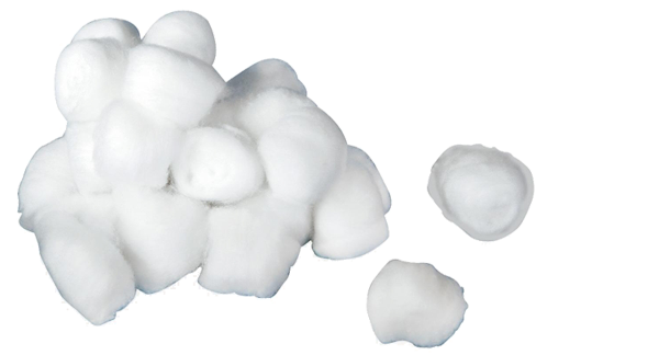 Cotton Transparent PNG Image