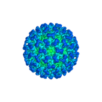 Photos Covid-19 Free PNG HQ