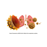 Coronavirus Free Photo PNG