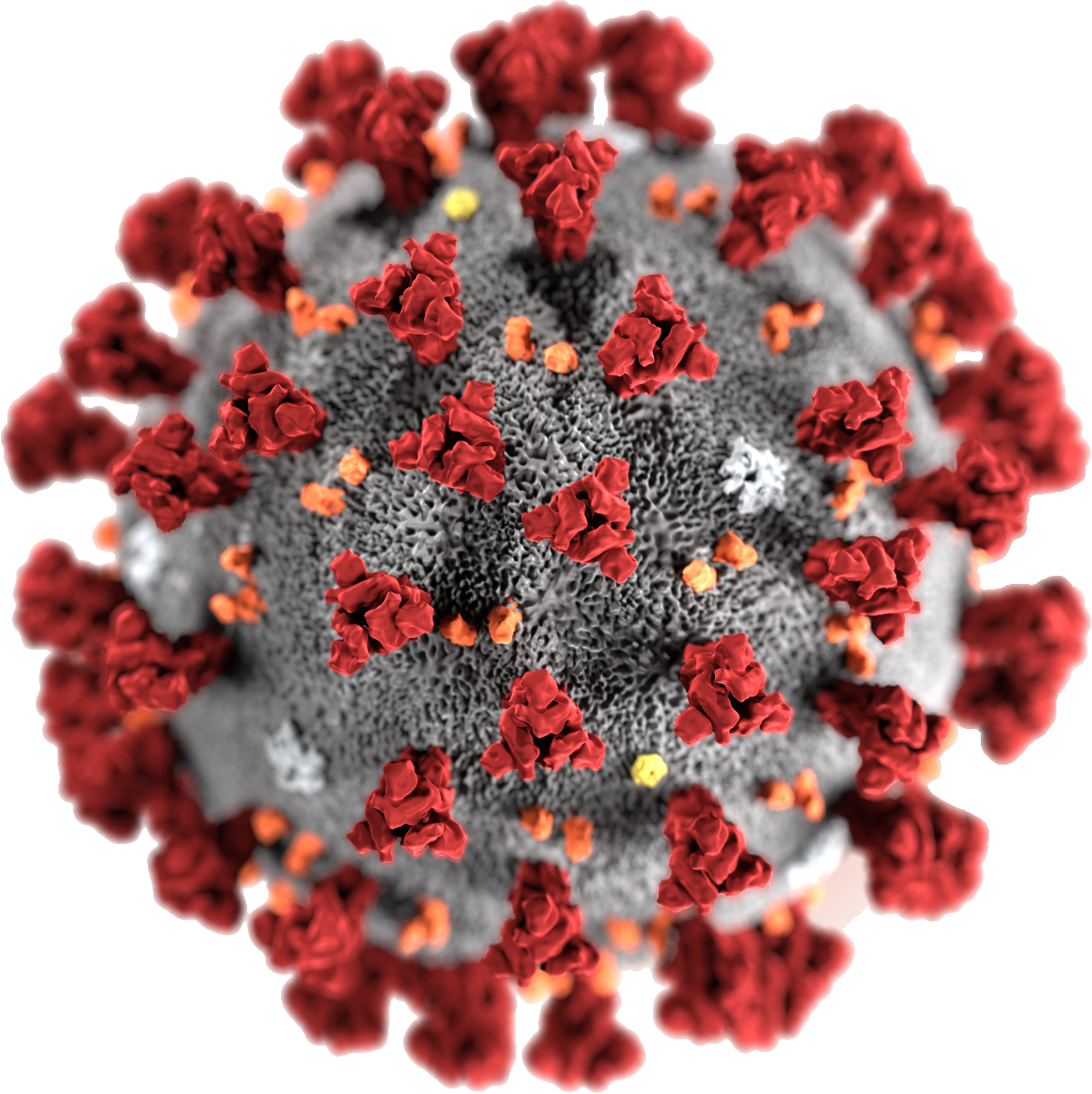Coronavirus PNG File HD PNG Image