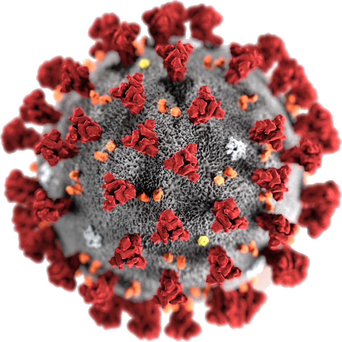 Coronavirus PNG File HD Transparent PNG Image