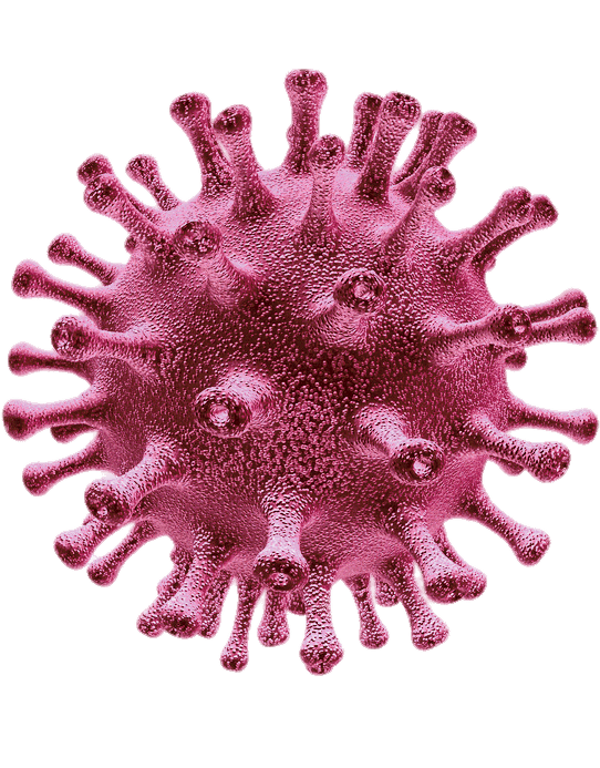 Coronavirus Disease Free Transparent Image HD PNG Image