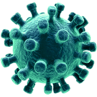 Coronavirus Disease Download HD PNG Image