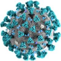Coronavirus Disease PNG Free Photo PNG Image