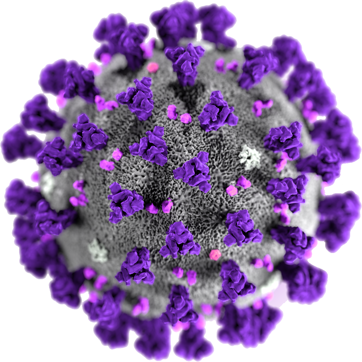 Coronavirus Disease Free Download PNG HQ PNG Image