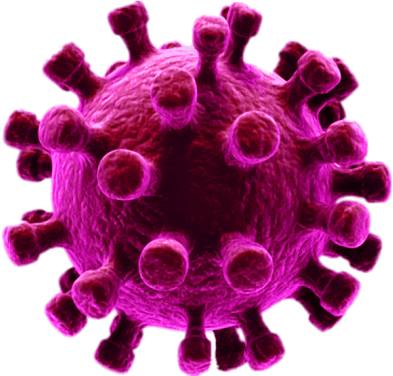 Virus Pic Covid-19 Download HD Transparent PNG Image